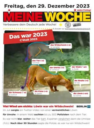 Meine Woche - 29 Dezember 2023