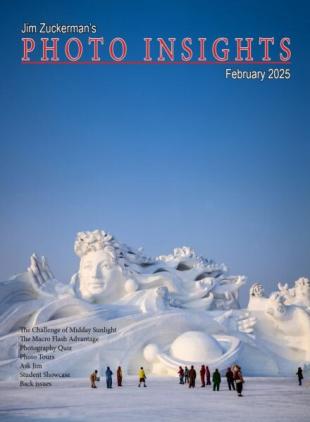 Photo Insights - February 2025