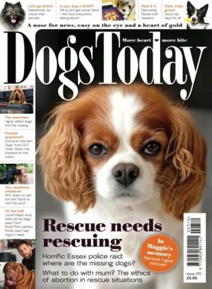 Dogs Today UK - Issue 370 2025