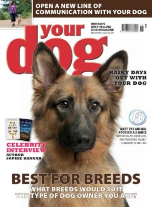 Your Dog - November 2025