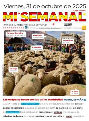 Mi Semanal - 31 Octubre 2025