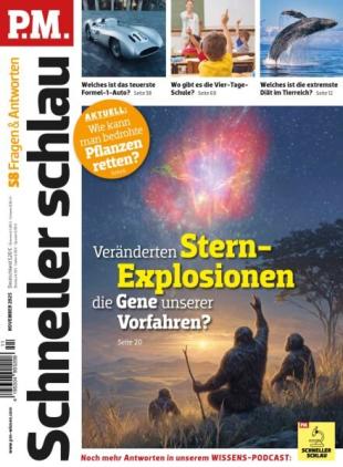 PM Fragen & Antworten - November 2025