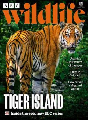 BBC Wildlife - June 2026