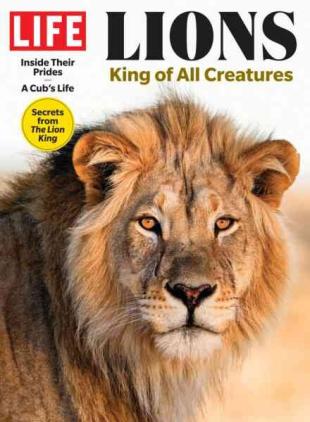 Life - Lions 2024