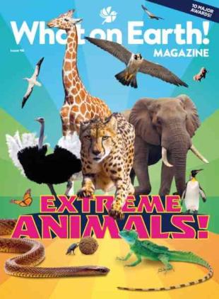 What on Earth! Magazine - October 2026